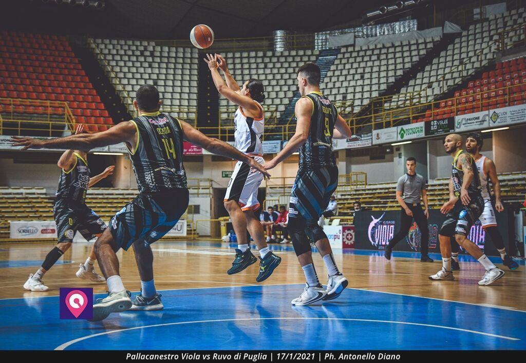 Pallacanestro Viola (14)