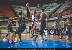 Pallacanestro Viola (14)