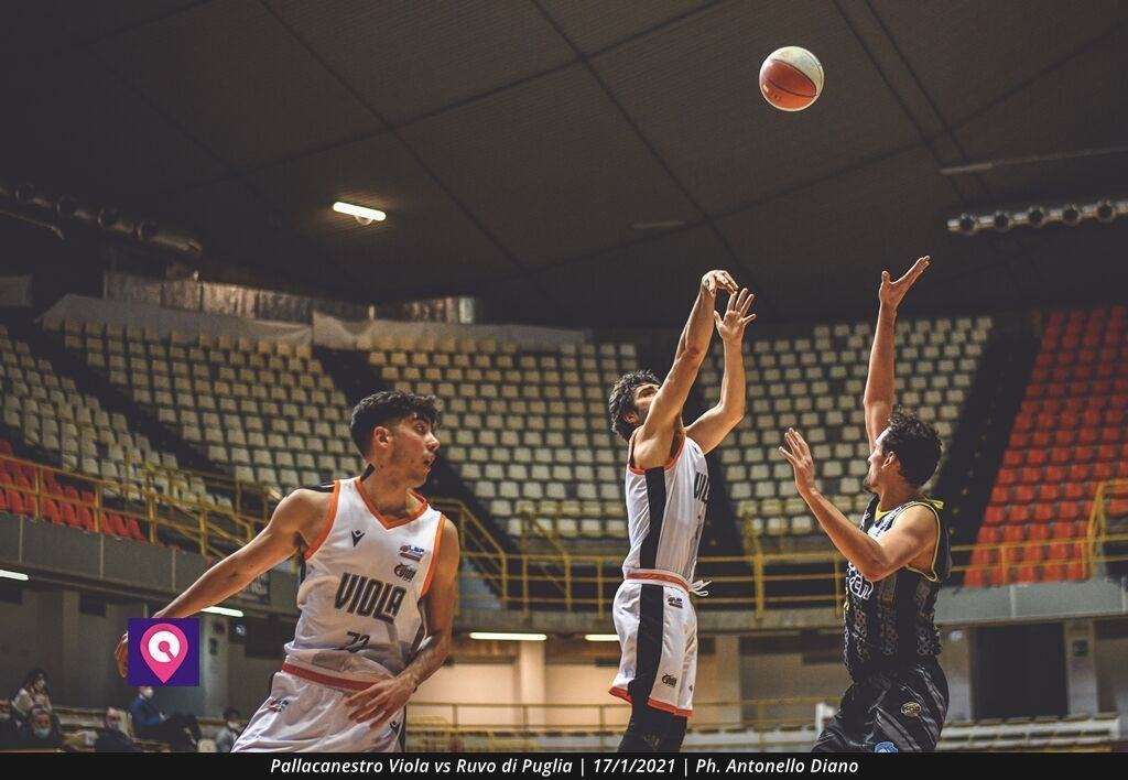 Pallacanestro Viola (30)