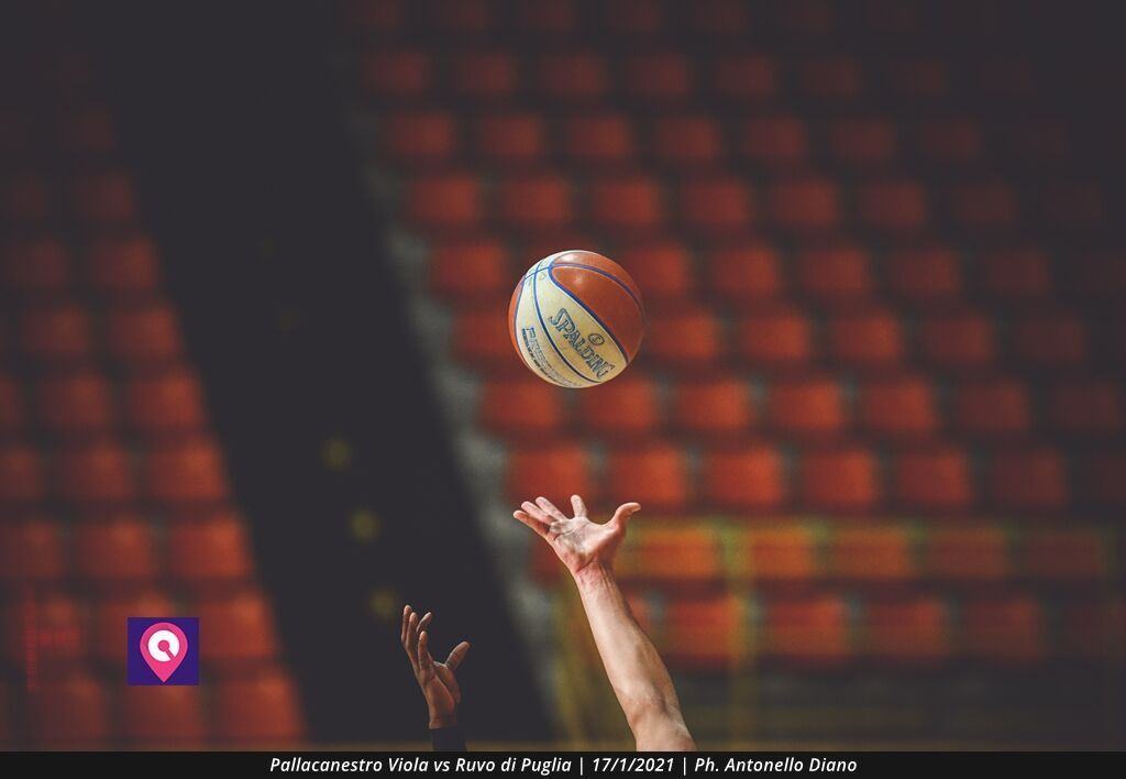 Pallacanestro Viola (5)