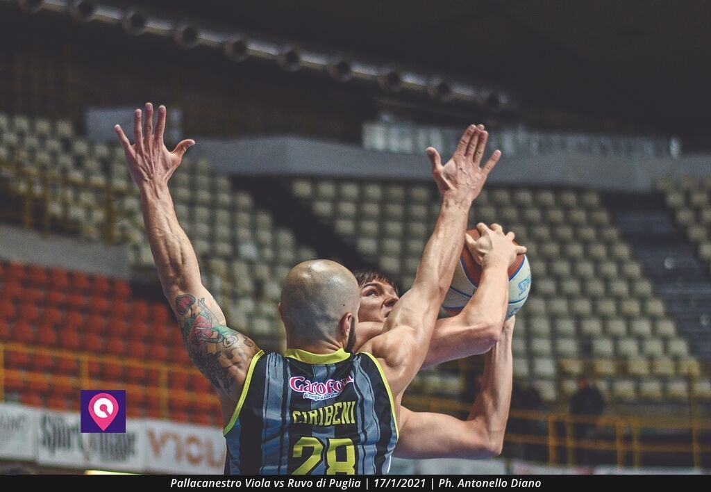 Pallacanestro Viola (80)