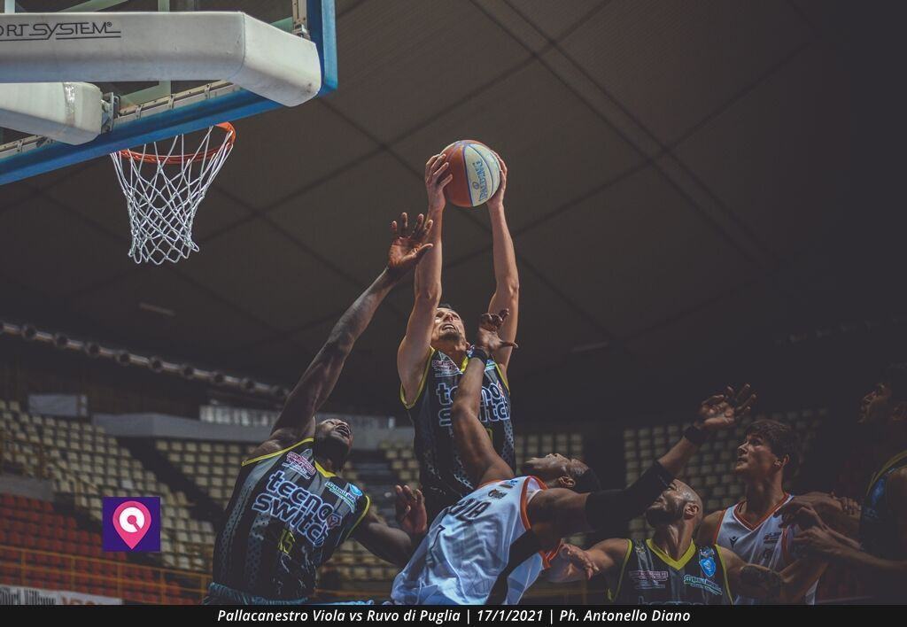 Pallacanestro Viola (81)