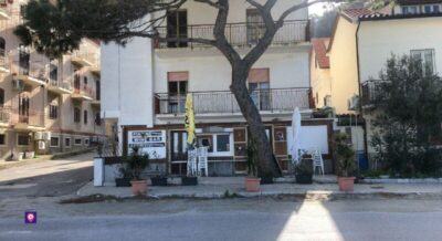 Scilla 1