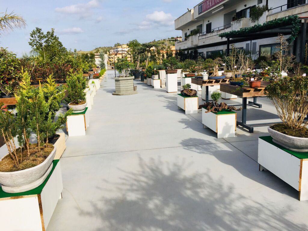 Orchidea Staff Centro Bonsai (9)