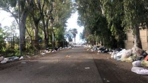 Pentimele Spazzatura