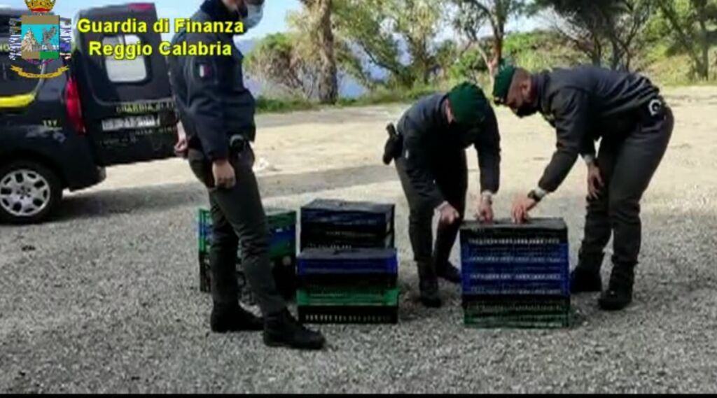Guardia Di Finanza