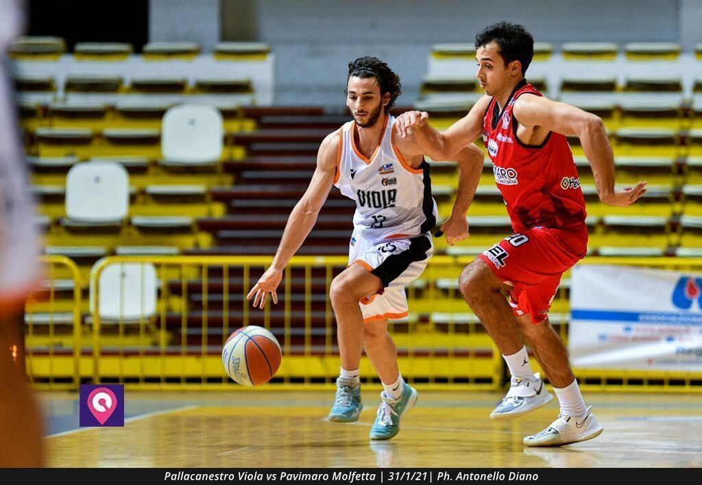 Pallacanestro Viola Molfetta (36)