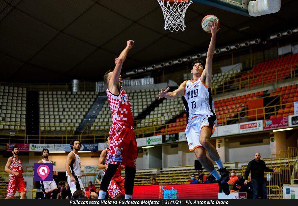 Pallacanestro Viola Molfetta (53)