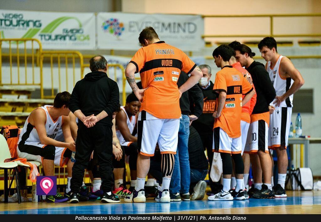 Pallacanestro Viola Molfetta (65)