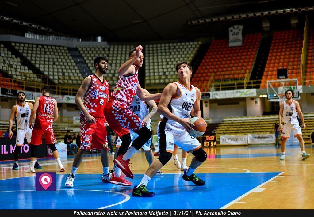 Pallacanestro Viola Molfetta (71)
