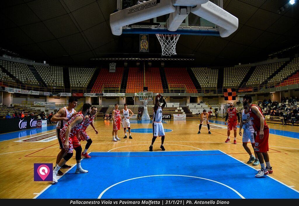 Pallacanestro Viola Molfetta (74)