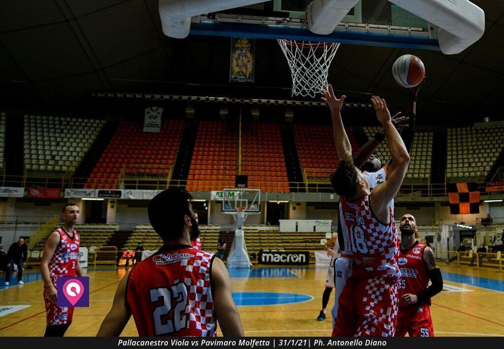 Pallacanestro Viola Molfetta (77)