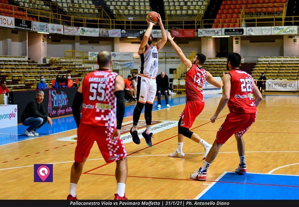 Pallacanestro Viola Molfetta (82)