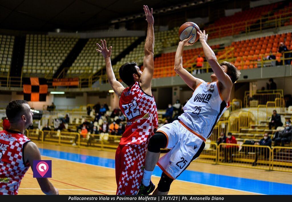 Pallacanestro Viola Molfetta (83)