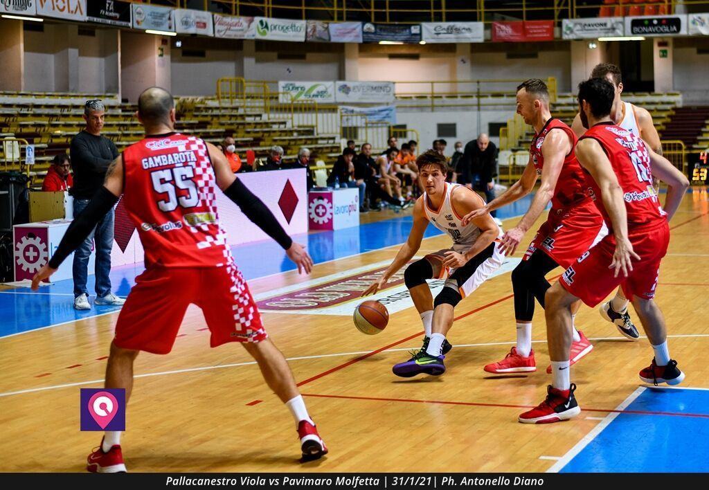 Pallacanestro Viola Molfetta (93)
