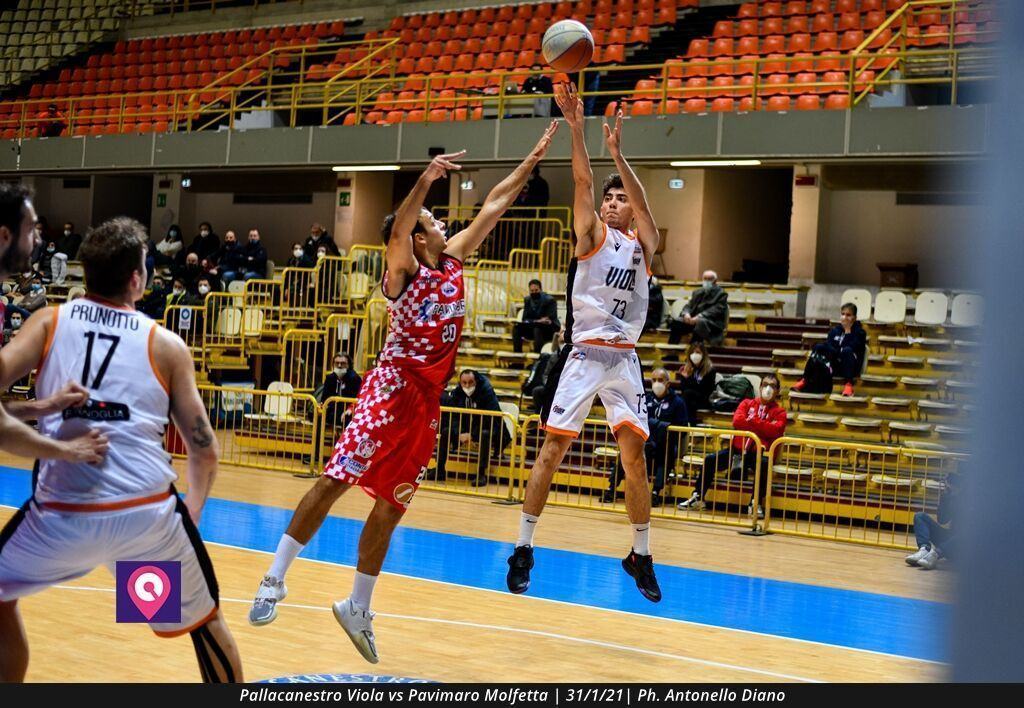 Pallacanestro Viola Molfetta (95)