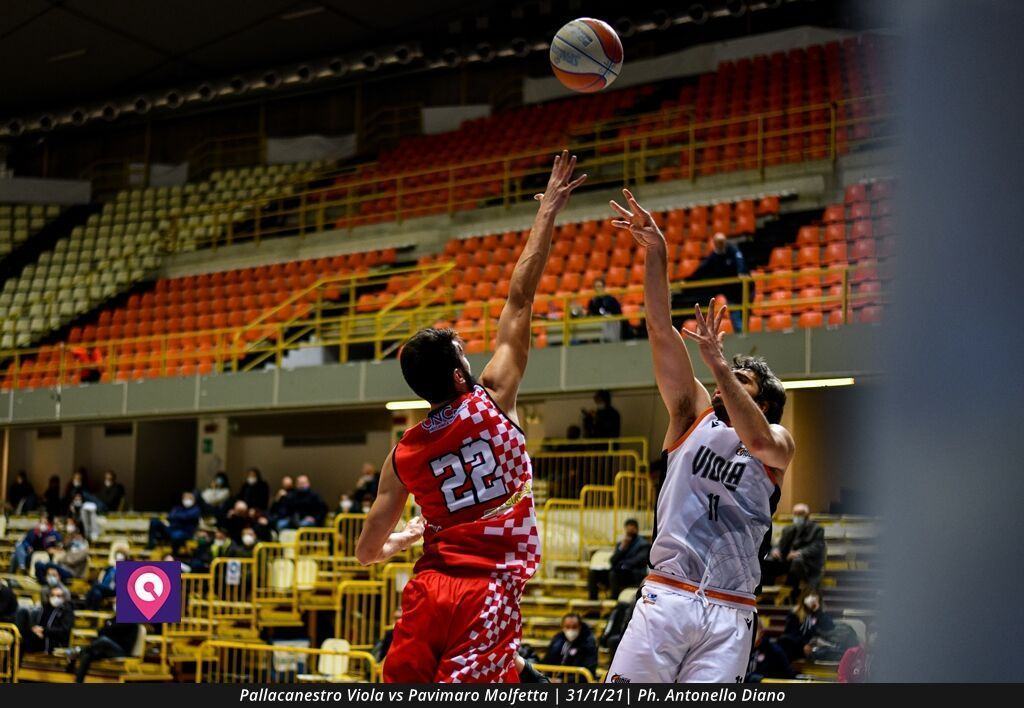 Pallacanestro Viola Molfetta (96)
