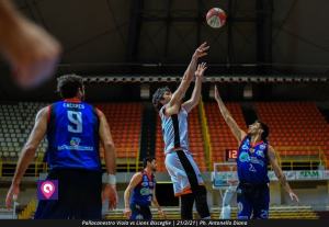 Viola Bisceglie (10)