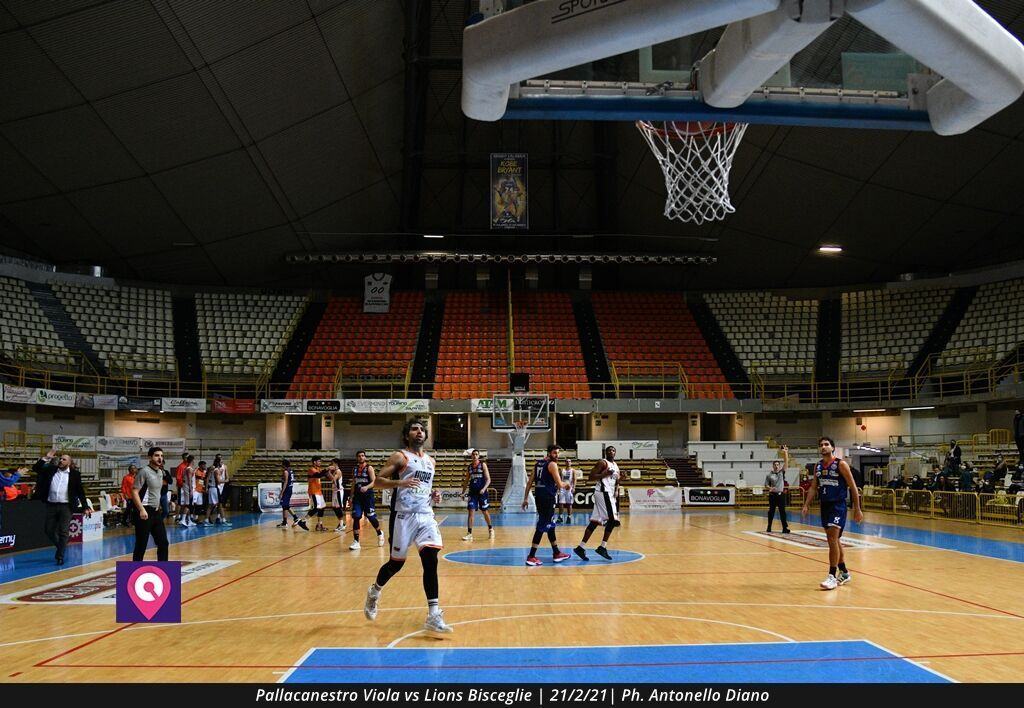 Viola Bisceglie (100)