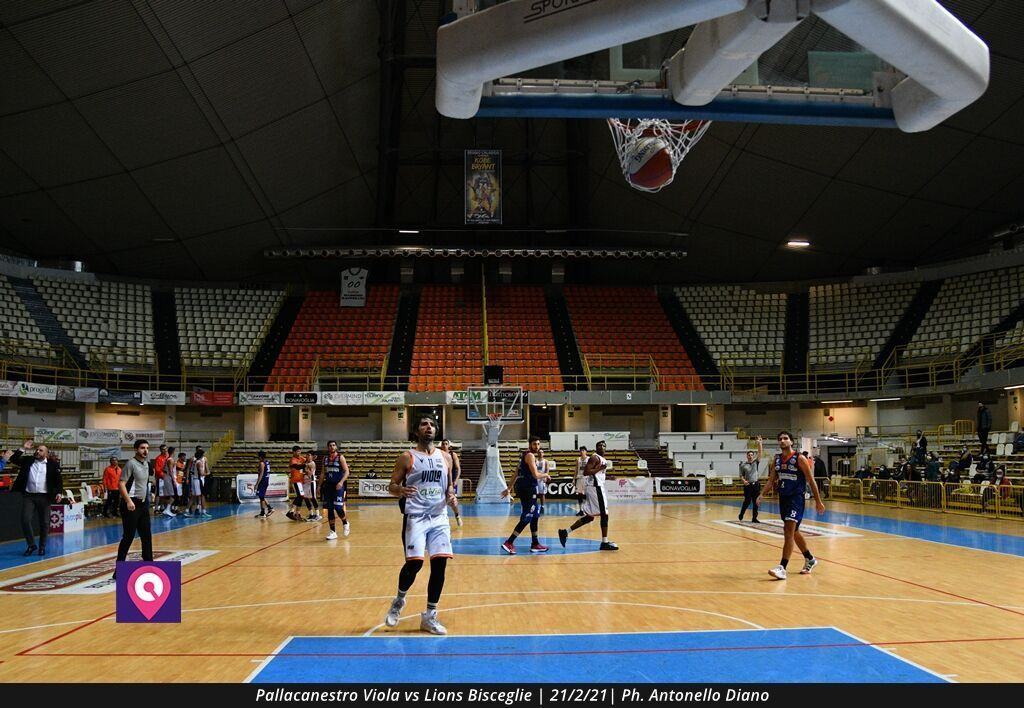 Viola Bisceglie (101)
