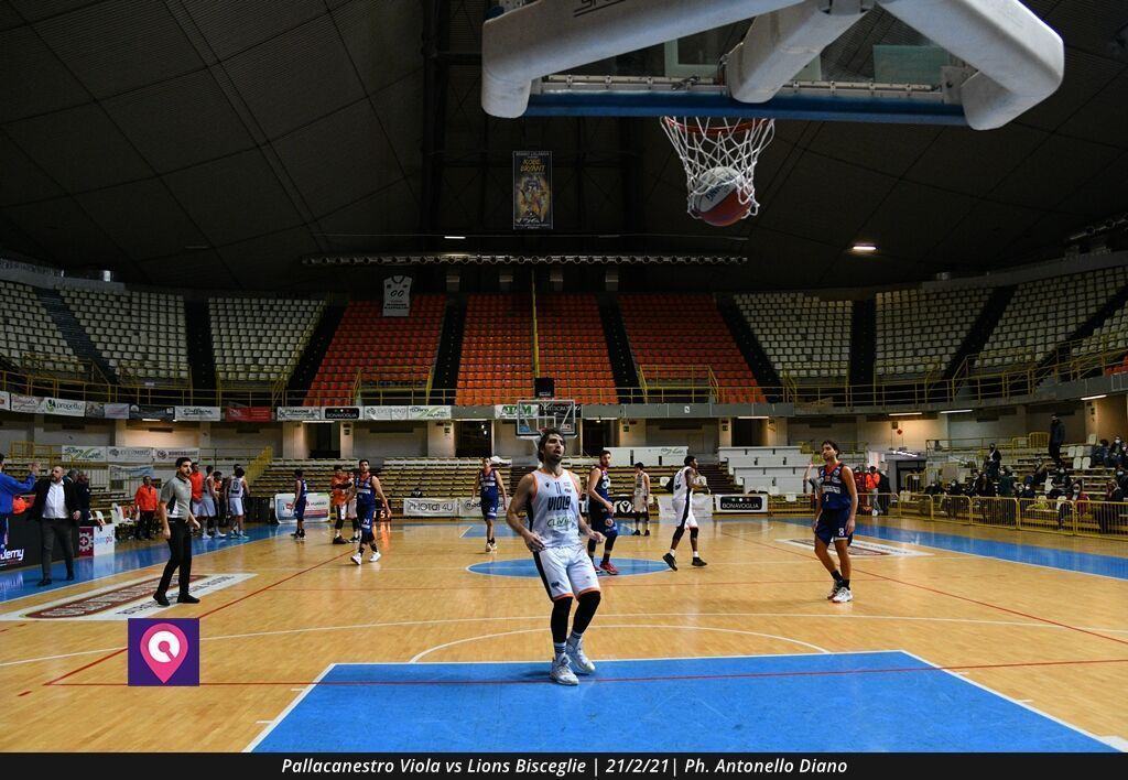 Viola Bisceglie (102)