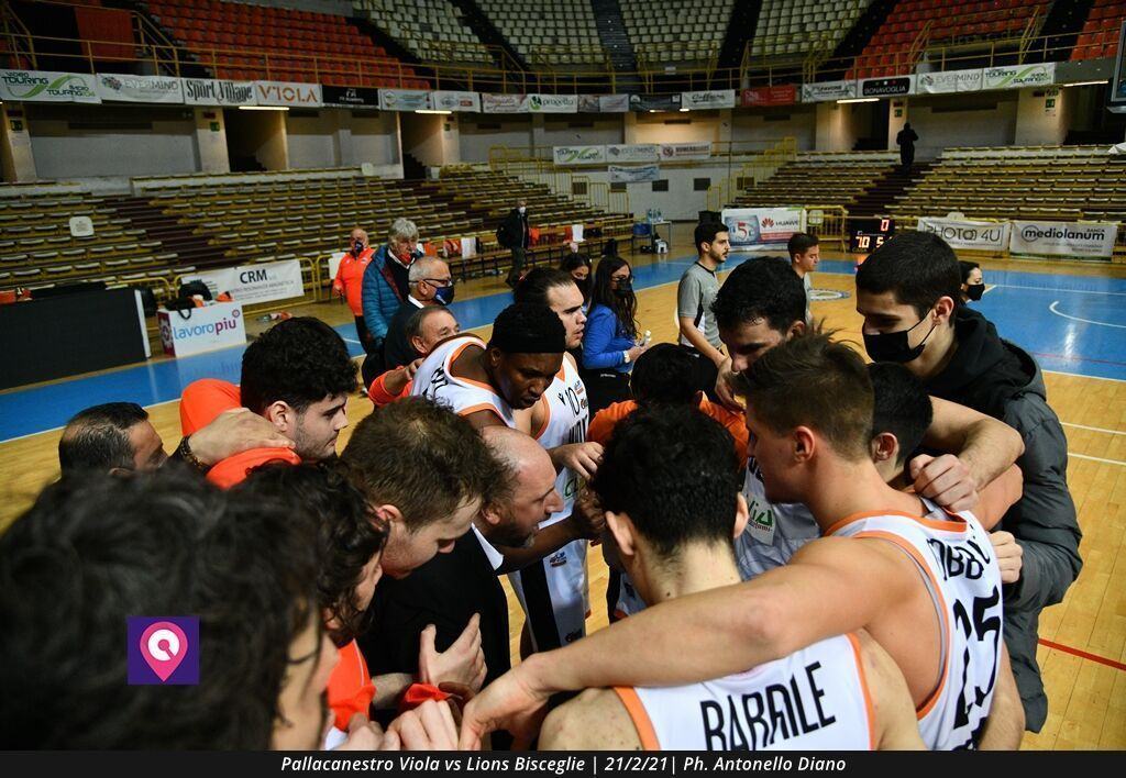 Viola Bisceglie (104)