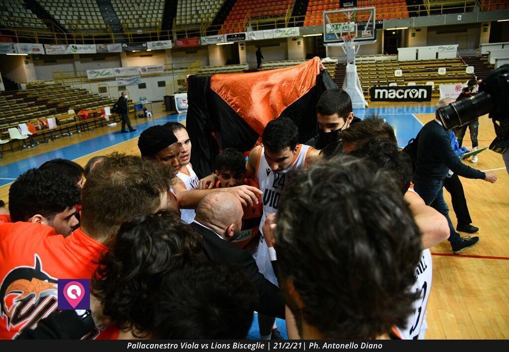 Viola Bisceglie (105)