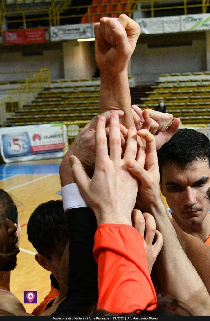 Viola Bisceglie (108)