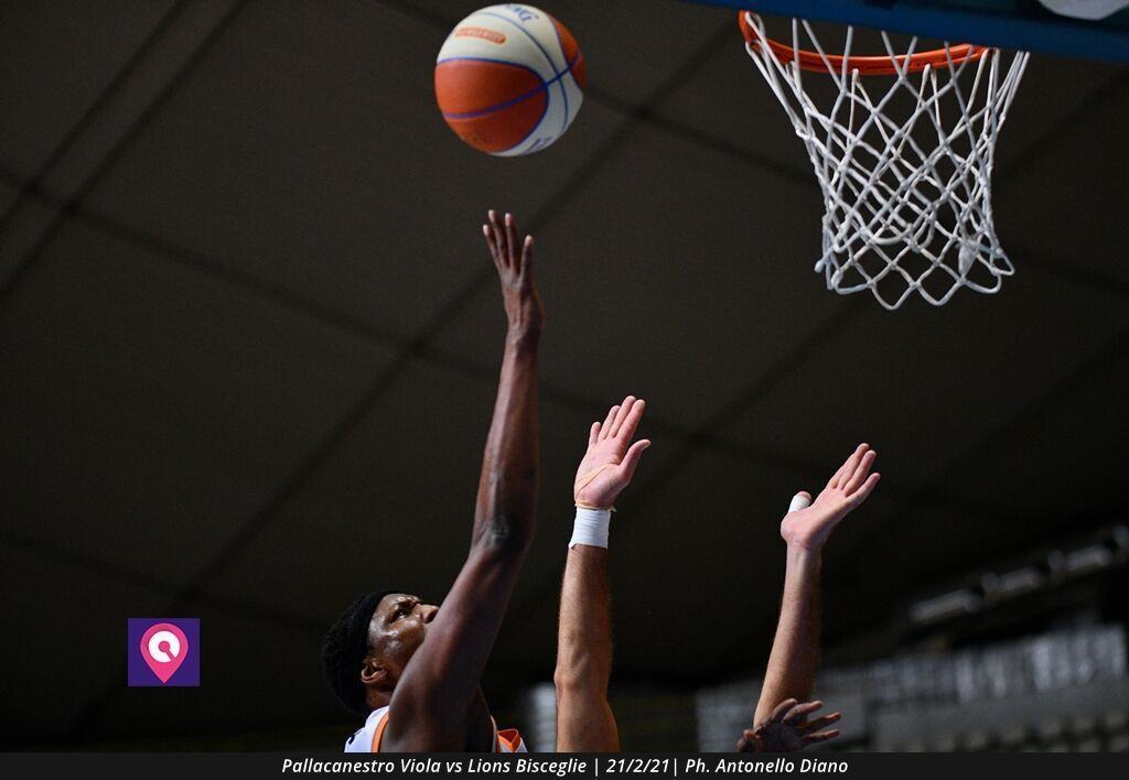 Viola Bisceglie (14)