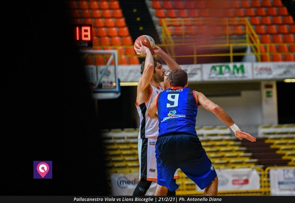 Viola Bisceglie (20)