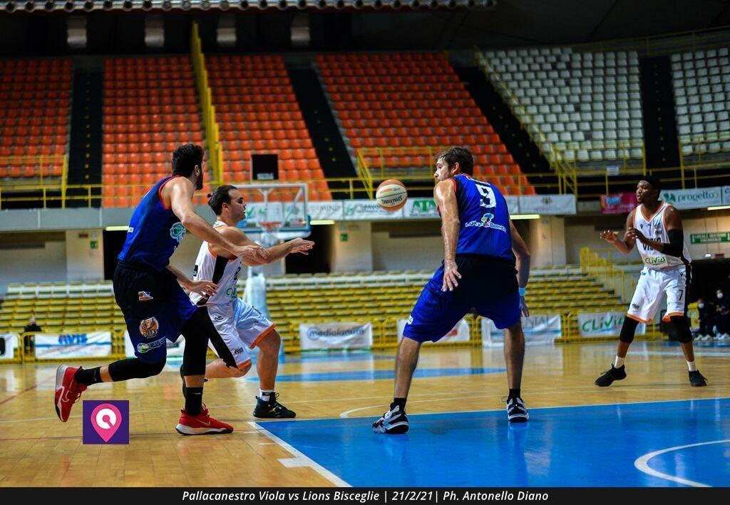 Viola Bisceglie (27)