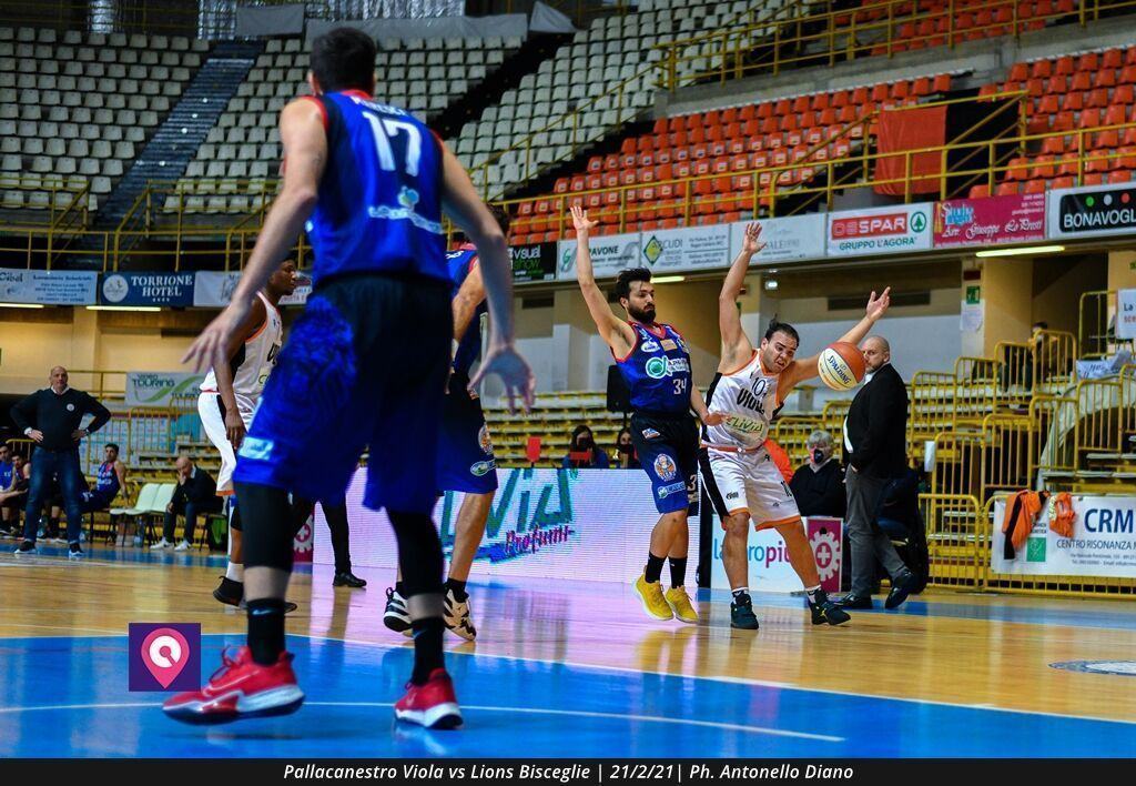 Viola Bisceglie (29)