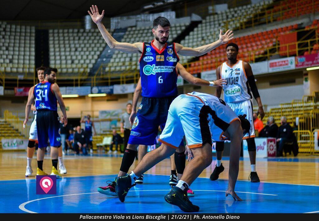 Viola Bisceglie (30)