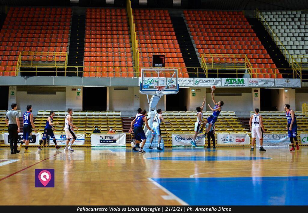 Viola Bisceglie (31)