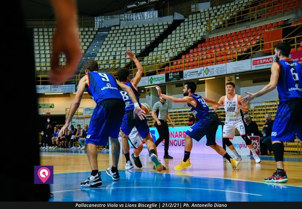 Viola Bisceglie (41)