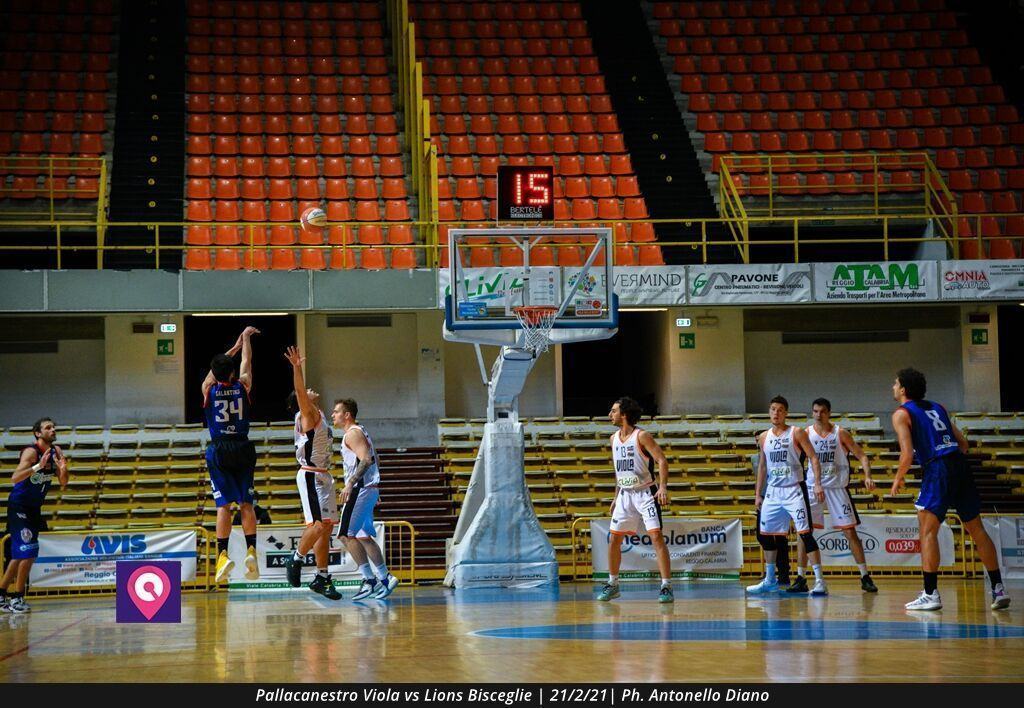 Viola Bisceglie (42)