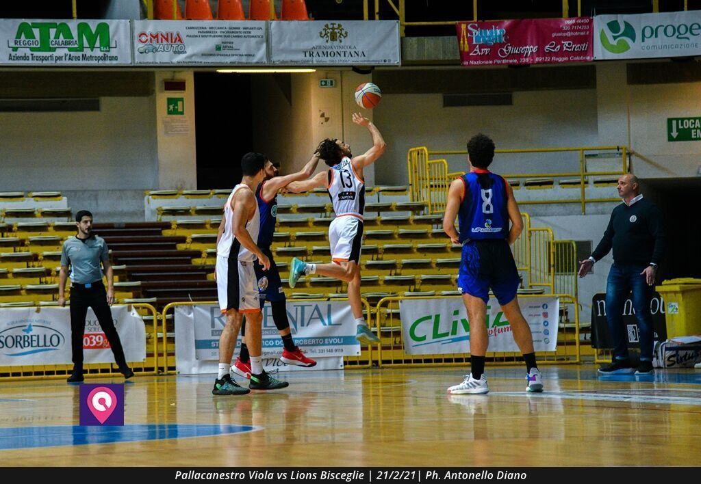 Viola Bisceglie (43)