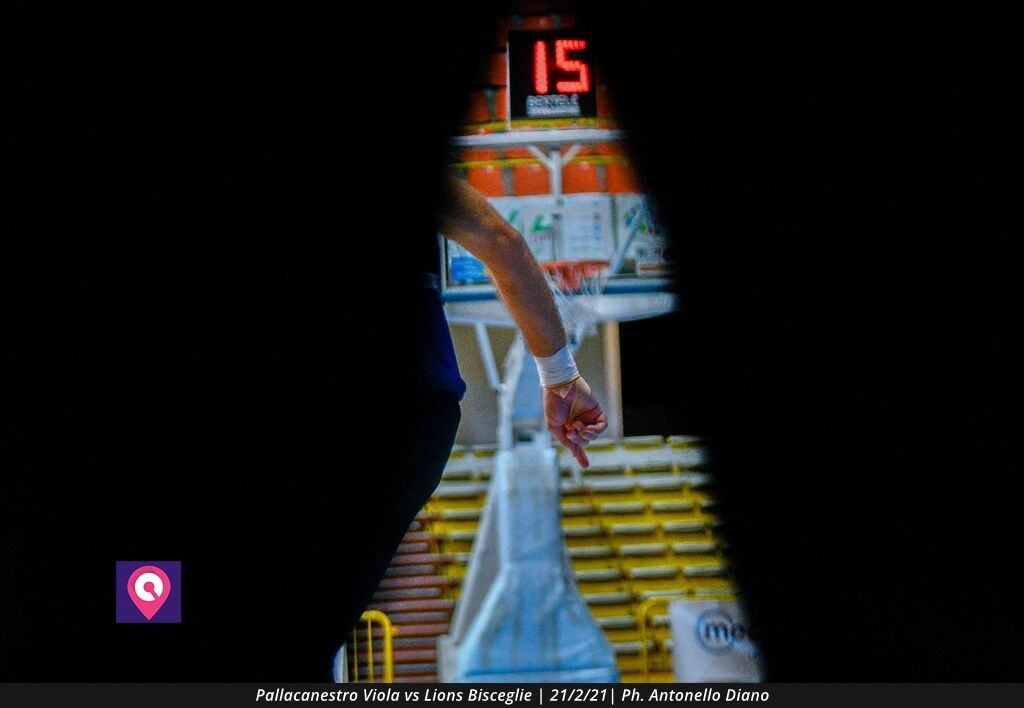 Viola Bisceglie (44)