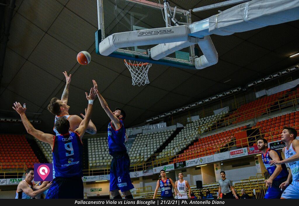 Viola Bisceglie (45)