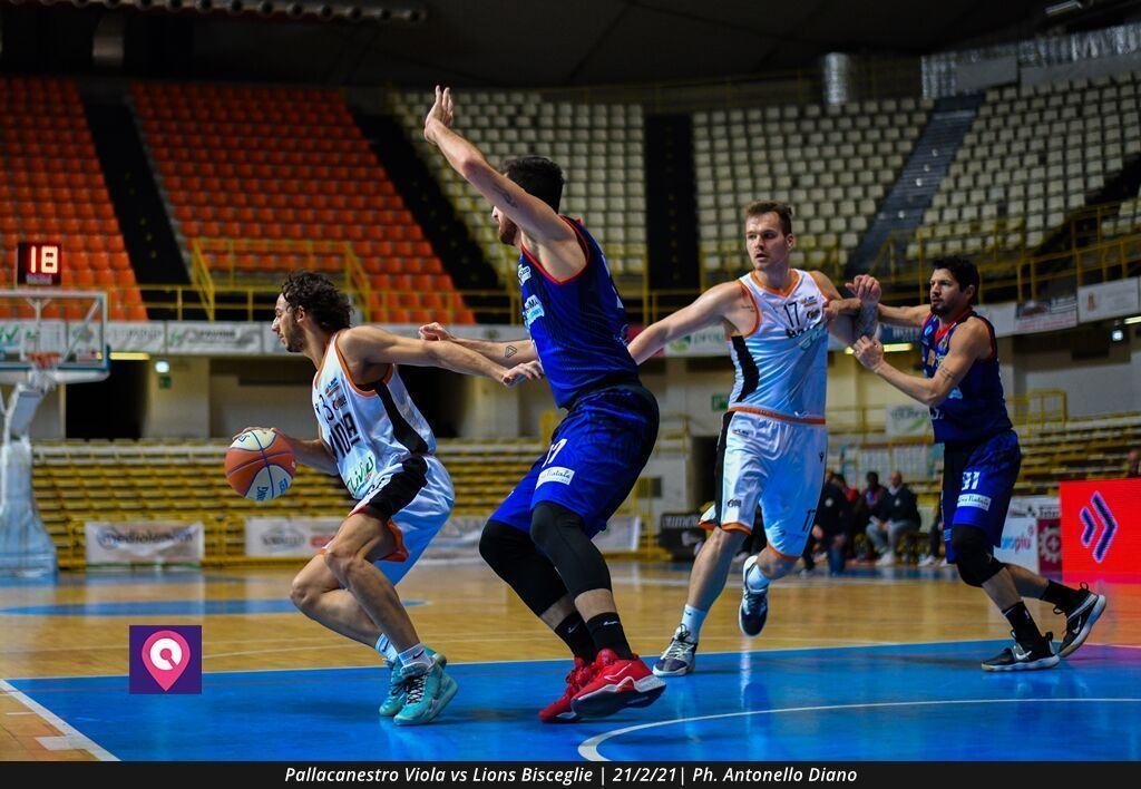 Viola Bisceglie (47)