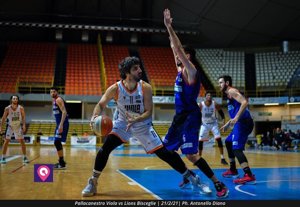 Viola Bisceglie (53)