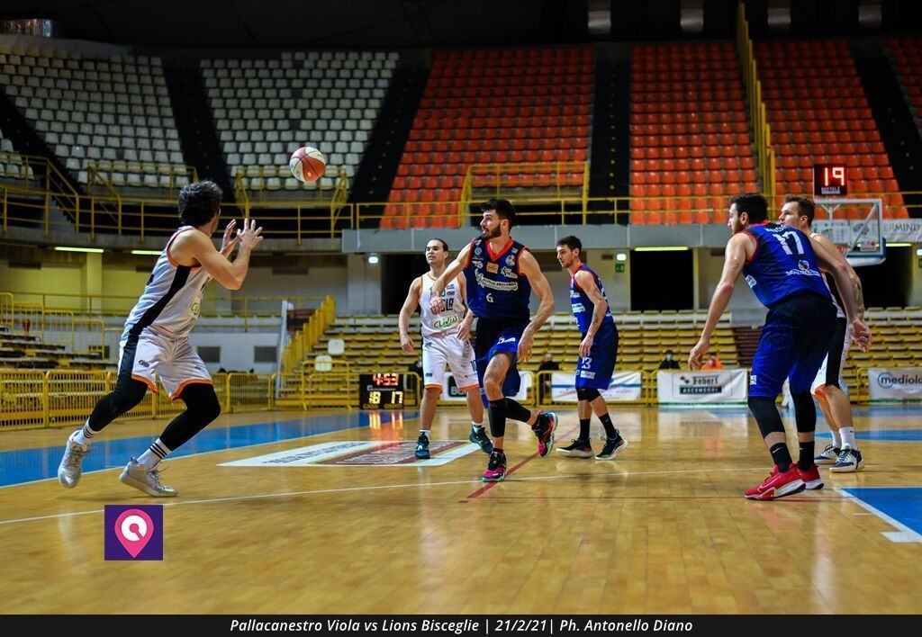 Viola Bisceglie (54)