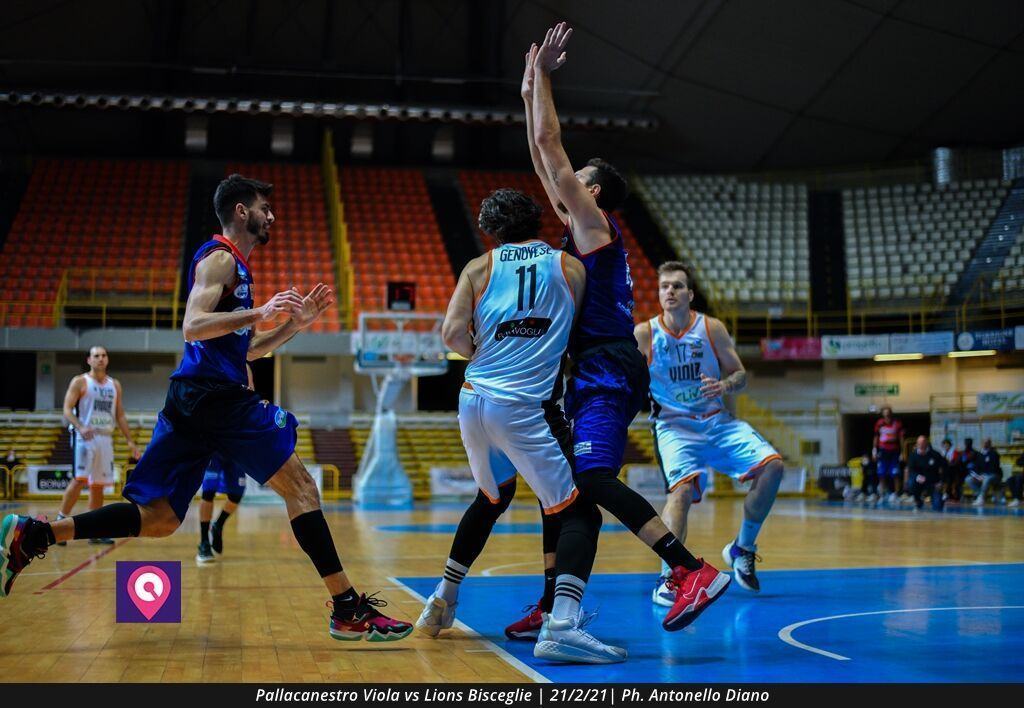 Viola Bisceglie (56)