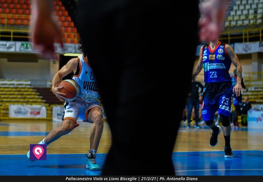 Viola Bisceglie (57)
