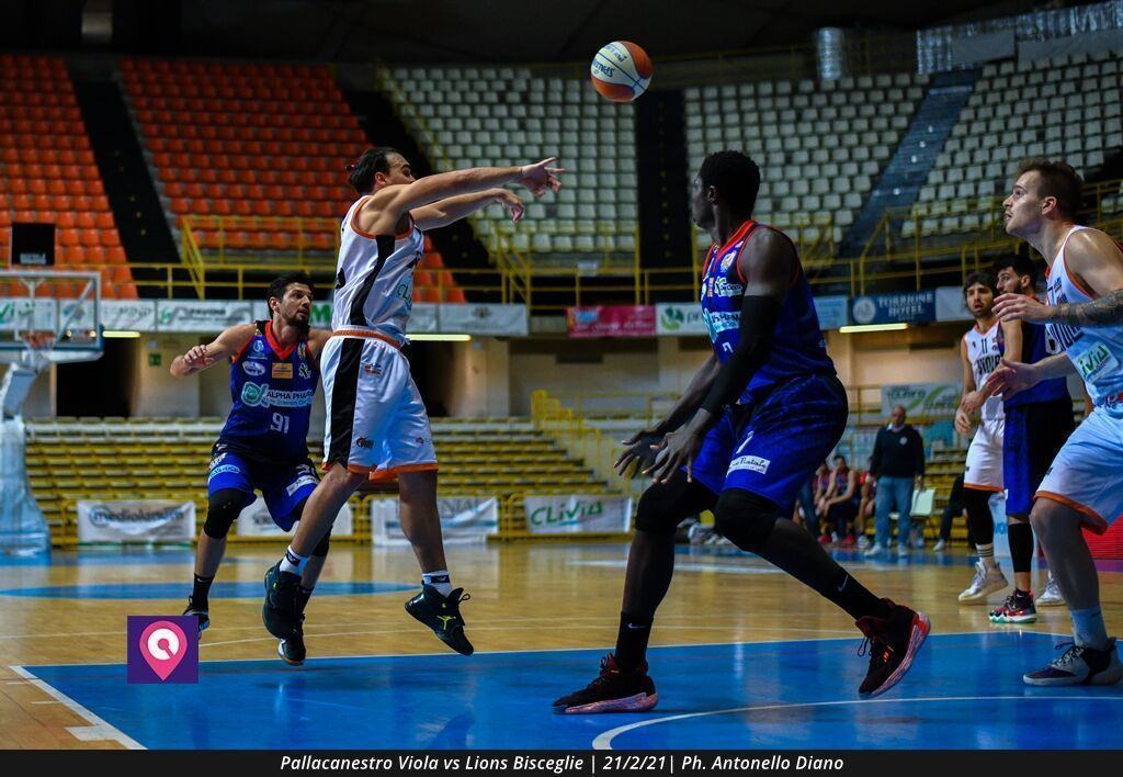 Viola Bisceglie (62)