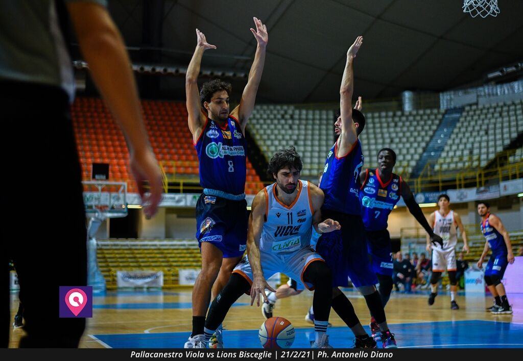 Viola Bisceglie (63)