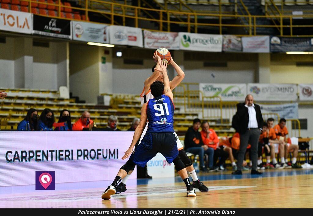 Viola Bisceglie (64)