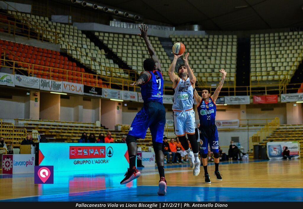 Viola Bisceglie (66)