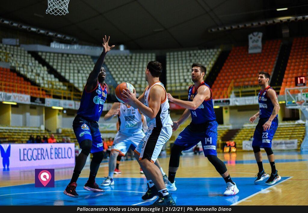 Viola Bisceglie (67)