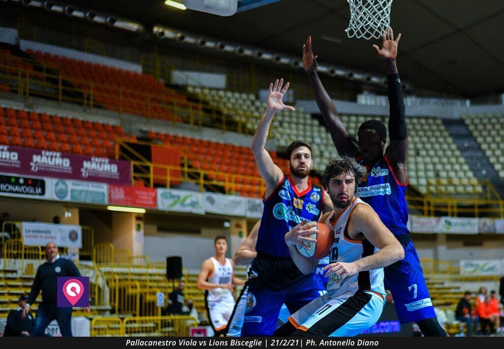 Viola Bisceglie (70)